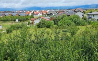 Vila noua-Sanpetru Dealul Lempes, zona verde si linistita - Poză 22