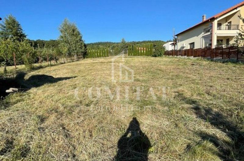 Vilă pe stradă privată | cartier Făget - Poză 5