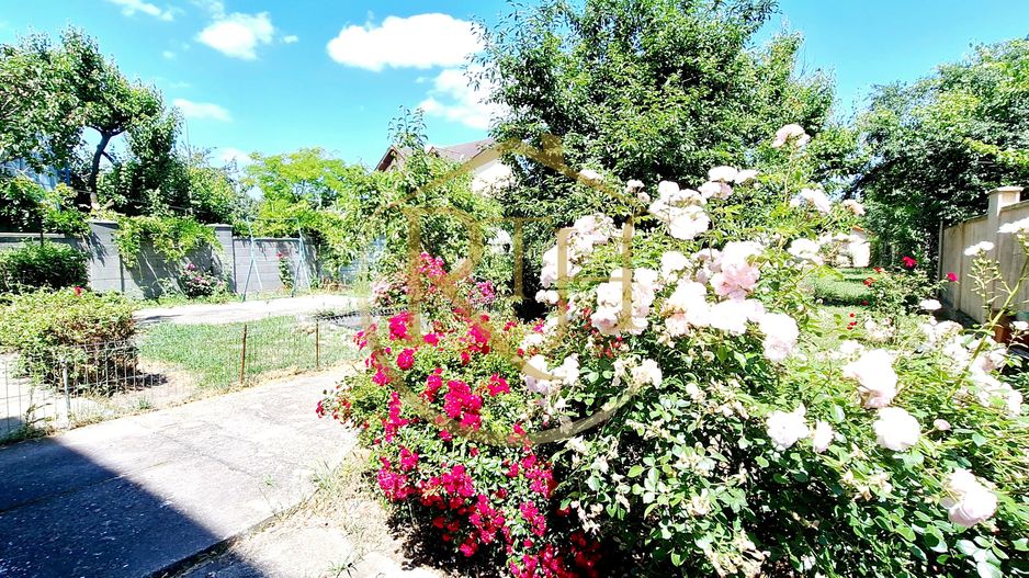 Oferim spre inchiriere, Apartament spatios, 4 camere, pentru locuit sau Firme - Poză 19