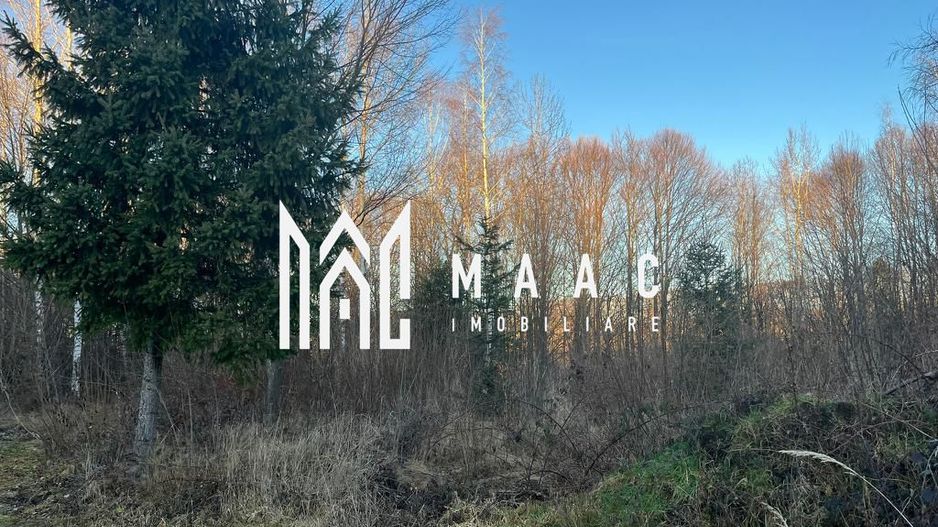 Teren 744 mp I Intravilan I Valea Avrigului - Poză 1