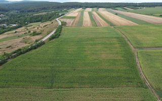 Teren de 3.600 mp Racova - Poză 3