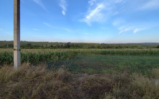 Teren cu destinaţie grădină com. Budești, Mun. Chişinău - Poză 3