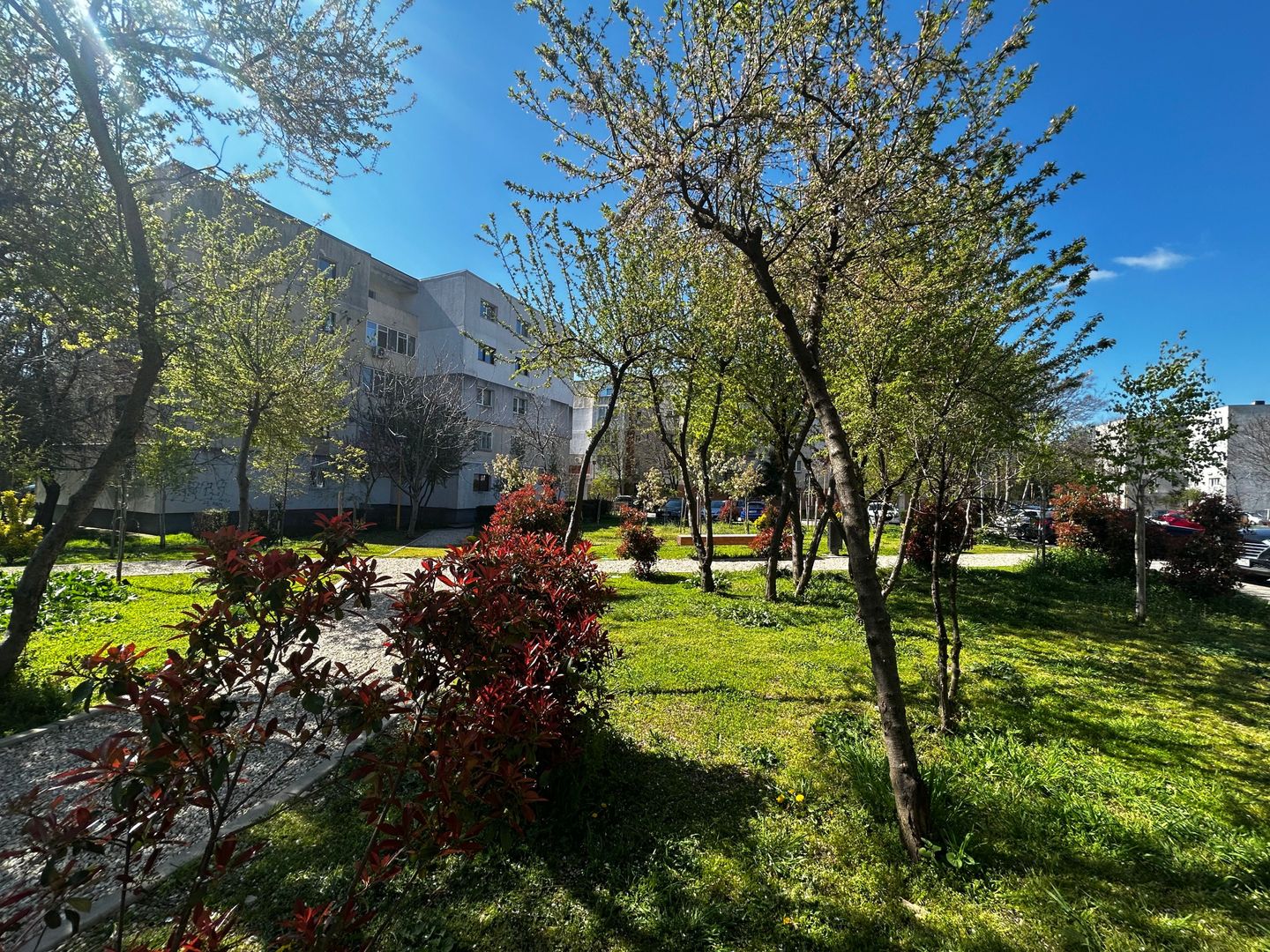 ✔️Rar disponibil în zonă. 2 camere, confort maxim, Inel 2 – Primo-BRD - Poză 3