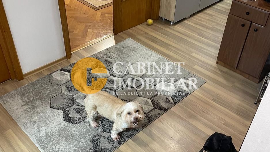 2 CAMERE, DECOMANDAT, 64 MP, ETAJ INTERMEDIAR, POITIERS - 119000 EURO - Poză 3