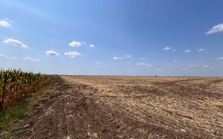 Teren intravilan 5087 mp de vânzare – Pielești - Poză 3