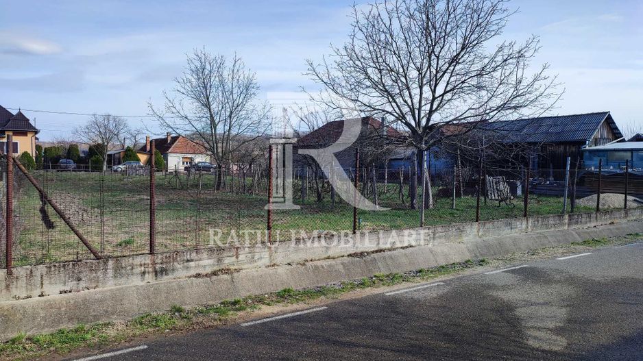 Teren Intravilan | 705 mp | Uileacul de Cris - Poză 3