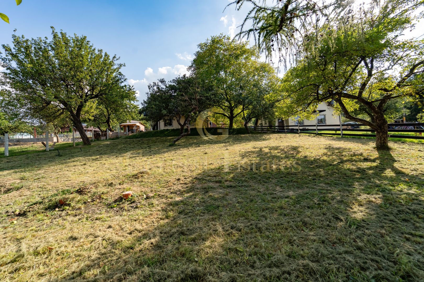 Casa de vacanță din Tohănița – locul unde muntele întâlnește liniștea - Poză 28