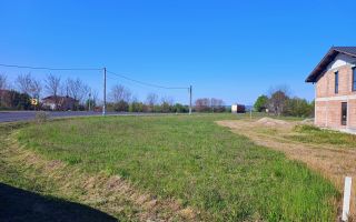Teren Intravilan | 3444 mp | Tăuții Măgherăuș - Poză 4