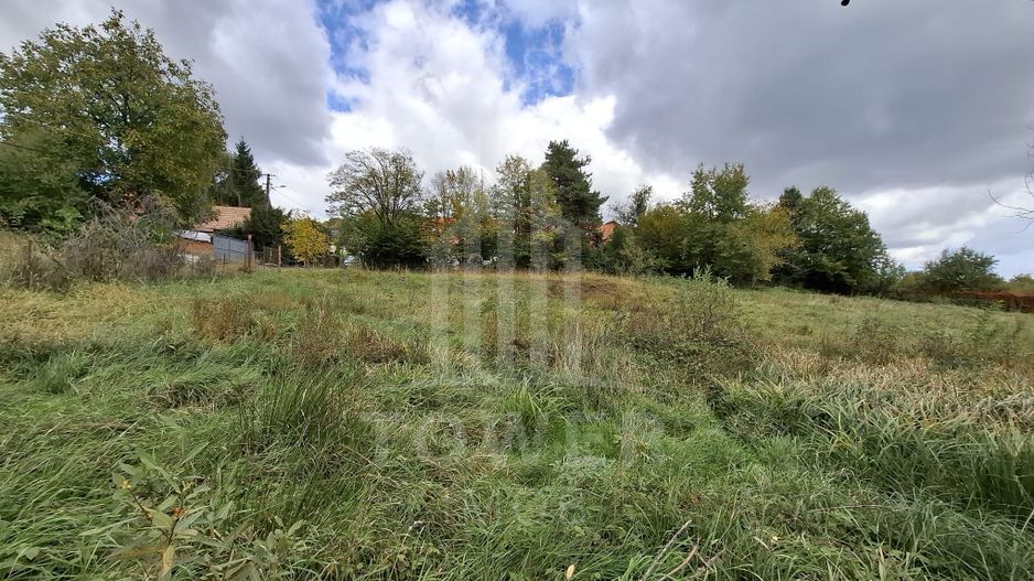 Teren intravilan cu Puz si priveliște deosebită, spre Cetatea Cisnădioara - Poză 3