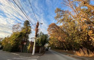 Teren intravilan - vanzare - Oraș Voluntari - Colentina - Padurea Andronache