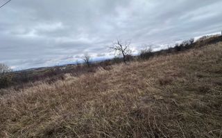 Teren de vânzare | Sibiu, Daia | 1.000 mp | utilități - Poză 6