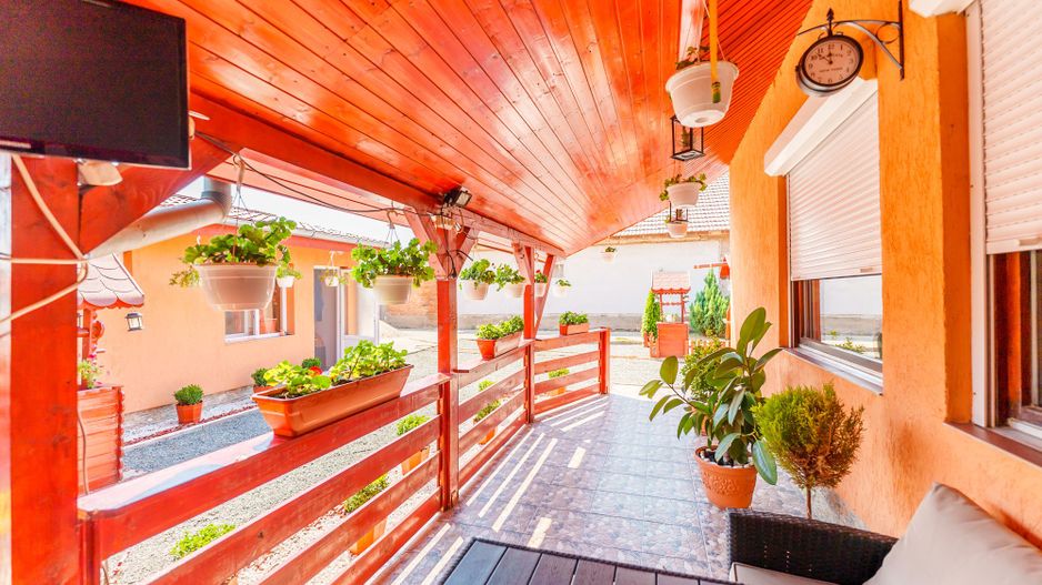 Casă spațioasă la sol în Macea - Poză 9