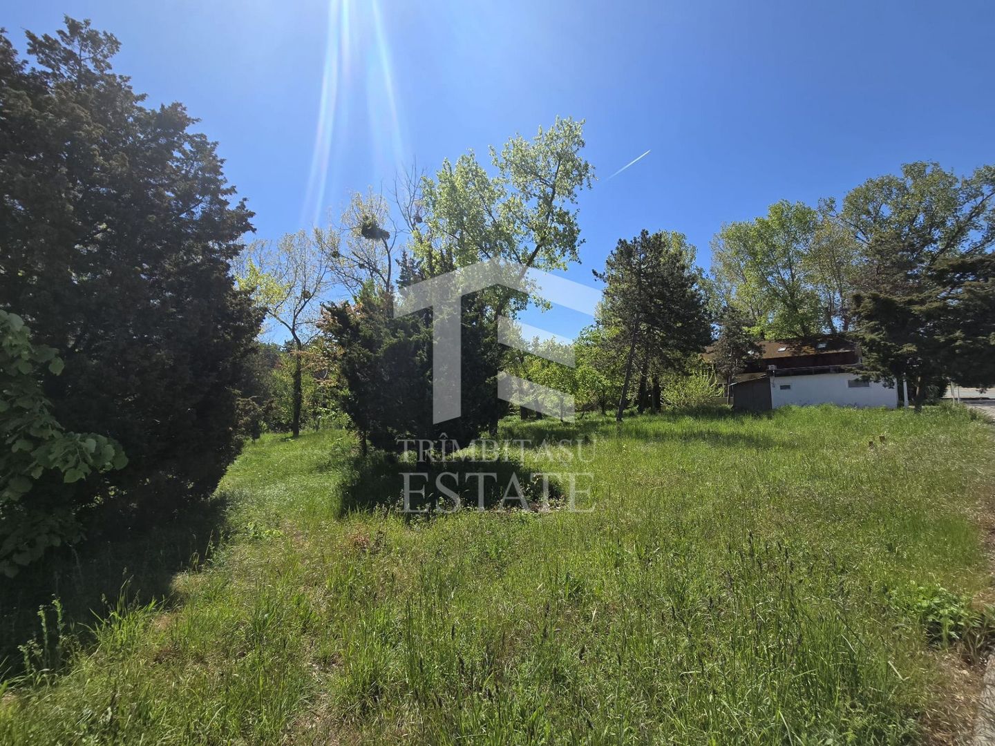 🏖 Teren de vanzare in Neptun – O oportunitate rara de investitie. - Poză 3