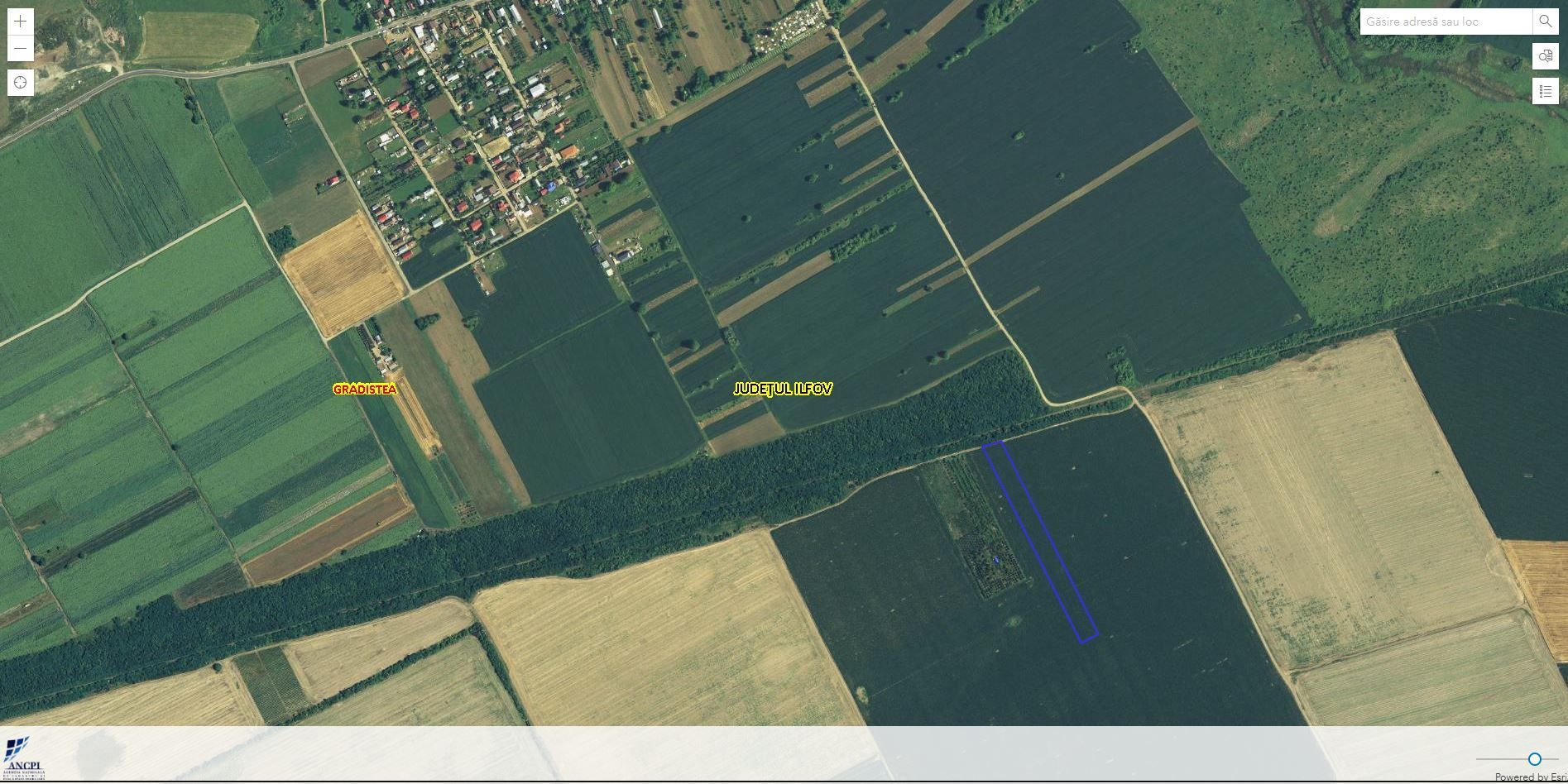 GRADISTEA - Sat Sitaru - Tarla 43, 11.500 mp. teren ideal investitie - Poză 1