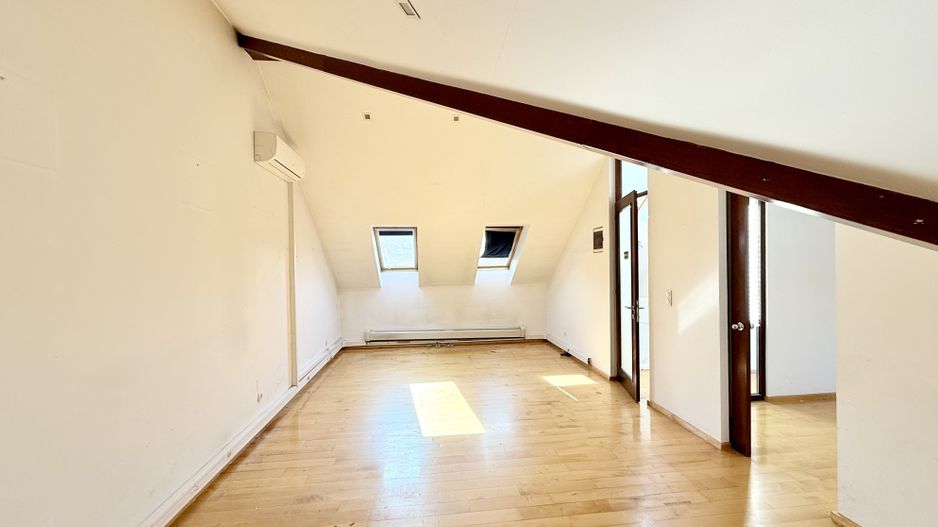 Vilă superbă | Cotroceni | 8 camere terasă și grădină - Poză 8