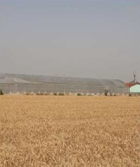 spatiu industrial Uivar Timis - Poză 2