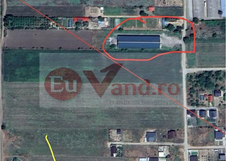 Hala 1.533 mp cu teren 5.000 mp – Vanatori, zona Maylo - Poză 5