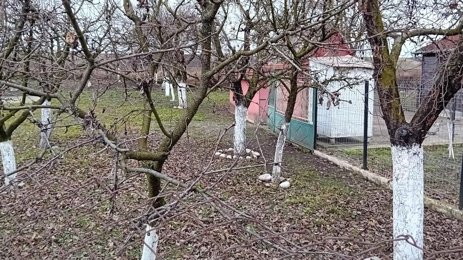 OFERTĂ in Băcia, Hunedoara ! Proprietate 2 case + Cabană + Livadă - Poză 27