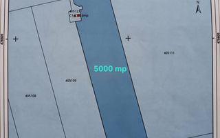Teren intravilan 5.000 mp, Bucovăț, ideal dezvoltare case ! 0% Comision! - Poză 10