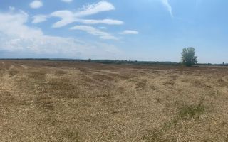 Sapient | Teren intravilan  la E60 - Poză 2