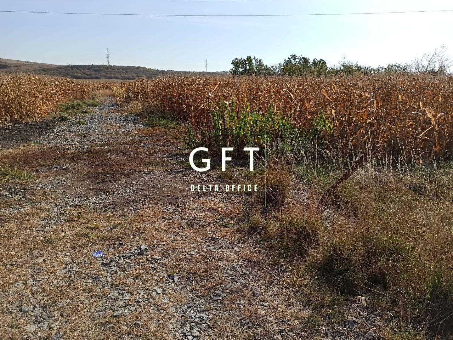 Teren intravilan 1000  mp ideal investitie Sarata - Poză 2