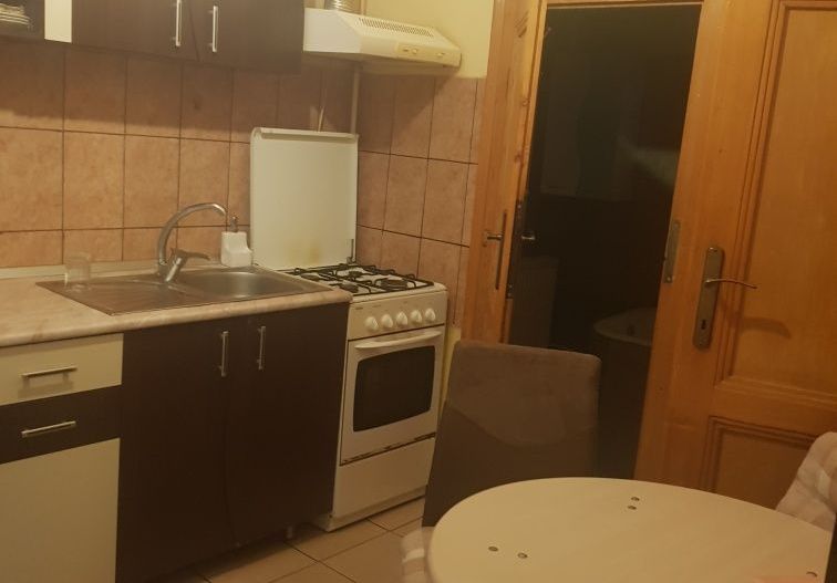 Apartament 1 camera Iosefin la curte - Poză 3