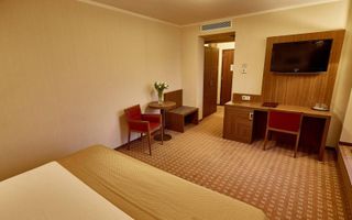 4 **** HOTEL PIATRA - NEAMT - Poză 16