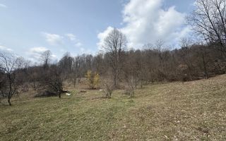 Teren 6040 mp la baza pădurii deschidere 40 ml - Poză 3