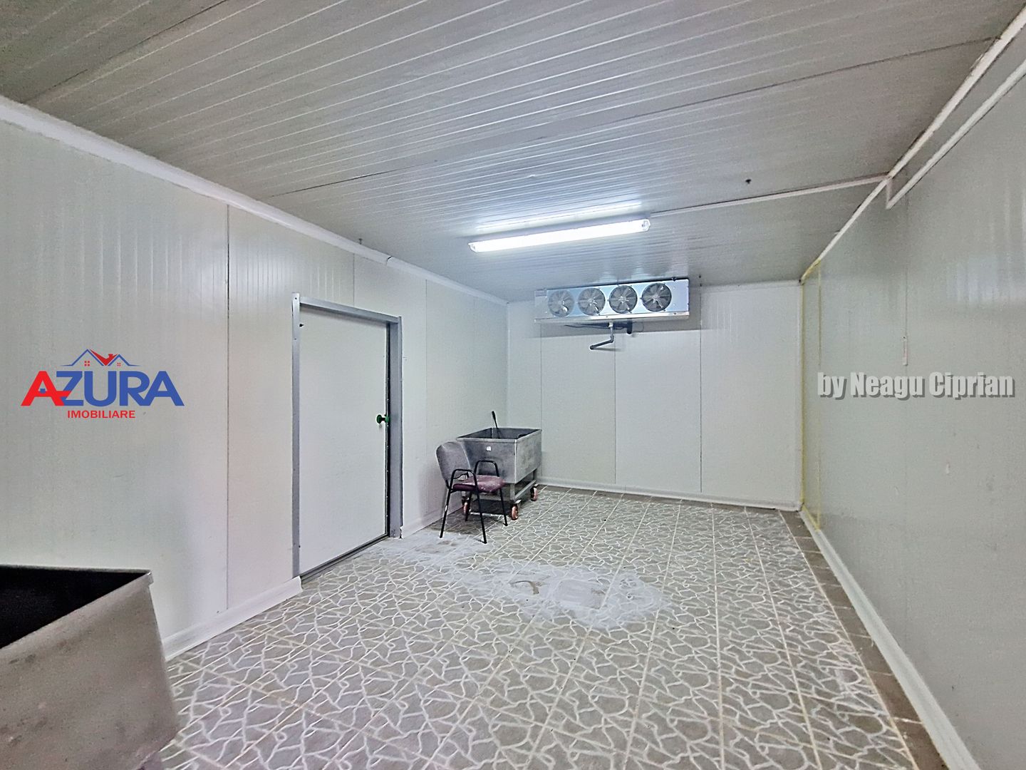 AZURA Imobiliare - Hala Fabrica de procesare Carne - Poză 10