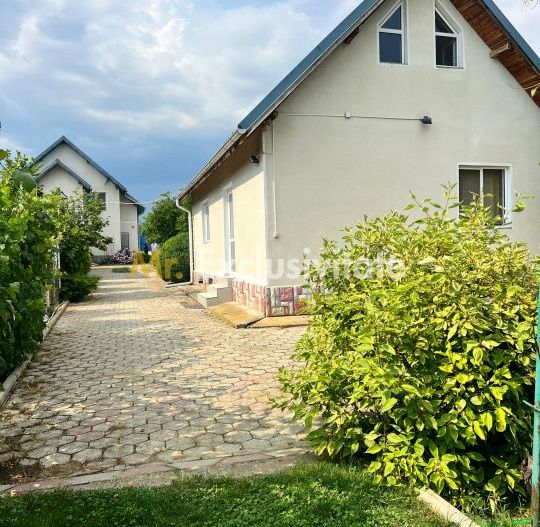 Casa visurilor cu 4000 mp livada roditoare si gradina Darmanesti-Arges - Poză 28