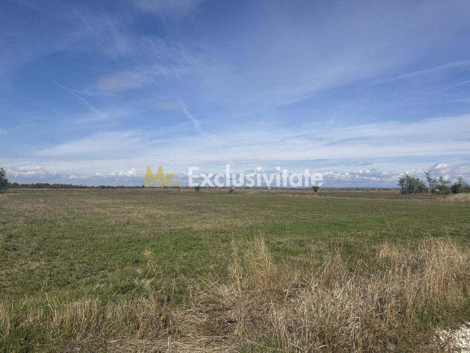 Teren intravilan 3700 mp la 28 km de Pitesti  - zona linistita - Poză 2