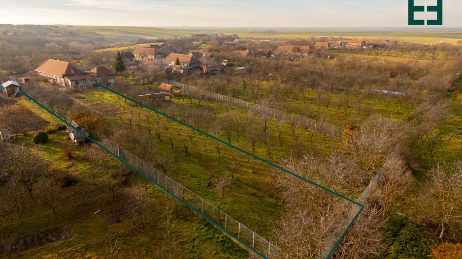 Vândut - Casă rustică cu teren 2448 mp – Seceani – Timiș - Poză 9