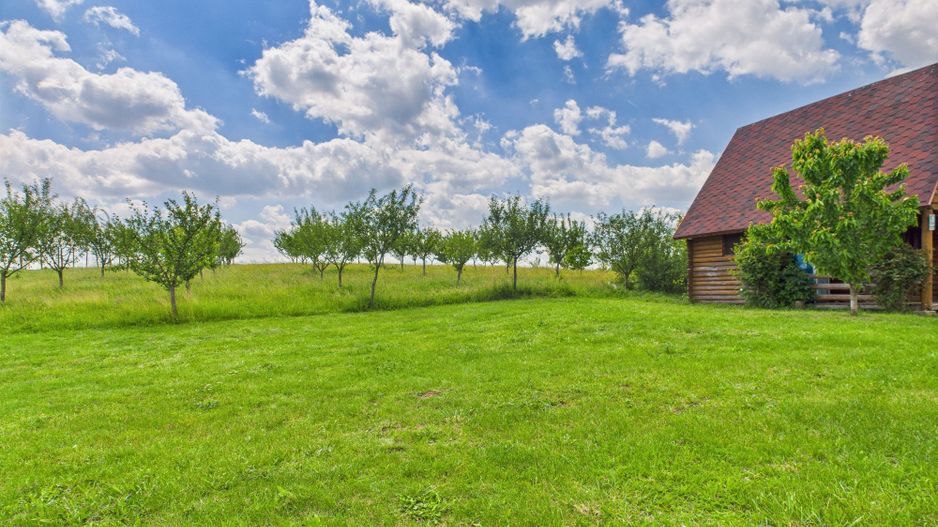 Teren cu baltă- oportunități multiple la Fibiș - Poză 33