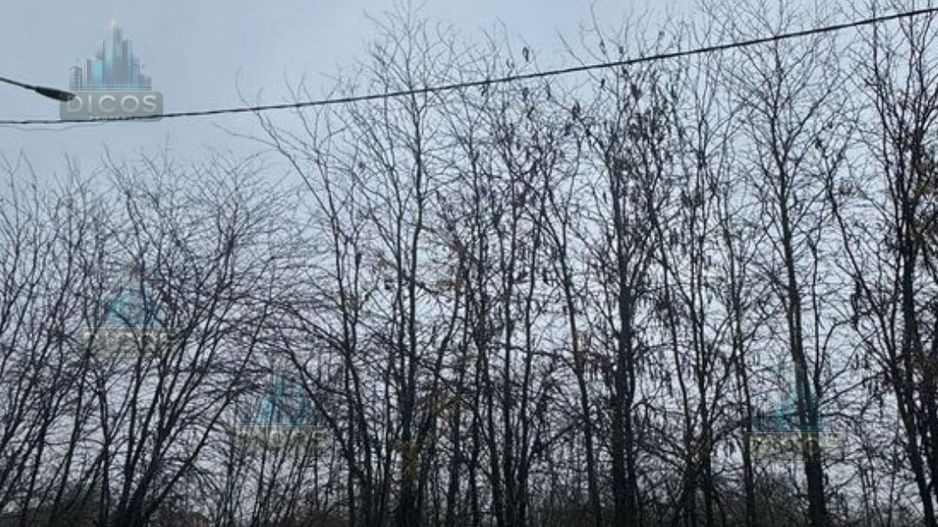 Teren intravilan Drumul Fermei - Poză 2