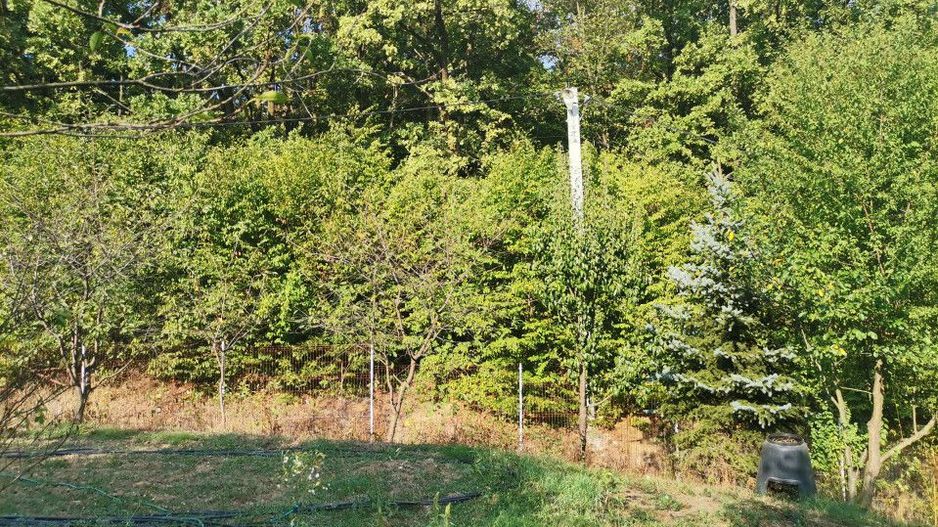 Vanzare teren intravilan Pitesti, strada Zamfiresti - Poză 7