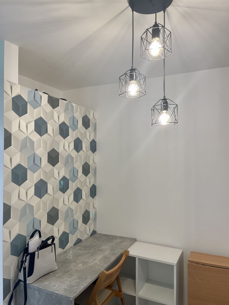 Garsoniera renovata complet 22mp Plevnei - Poză 3