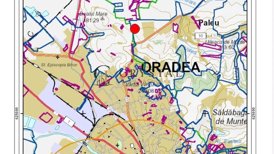 Teren intravilan în -Paleu 9.707 mp | Potențial excelent de investiție - Poză 3
