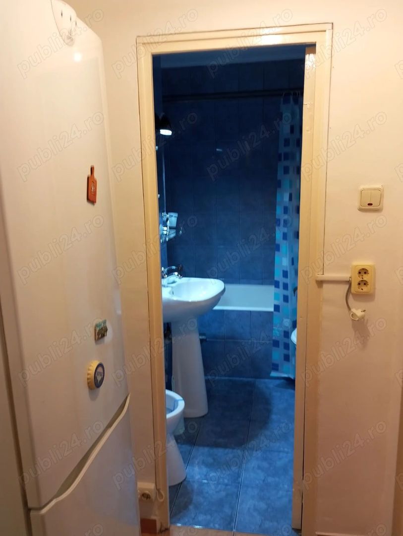 De inchiriat apartament cu 2 camere , Secuilor Sector4 - Poză 4