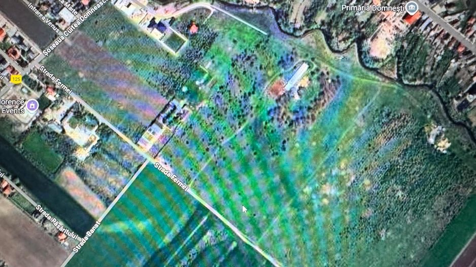 Teren de vanzare 12.700 mp Domnesti Curtea Domneasca - Poză 3