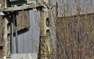 Vanzare amplasament industrial-servicii Tatarasti, Teleorman - Poză 15