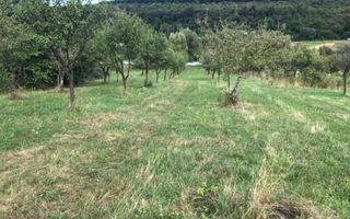 Teren extravilan - Sibiel, Sibiu - Poză 8