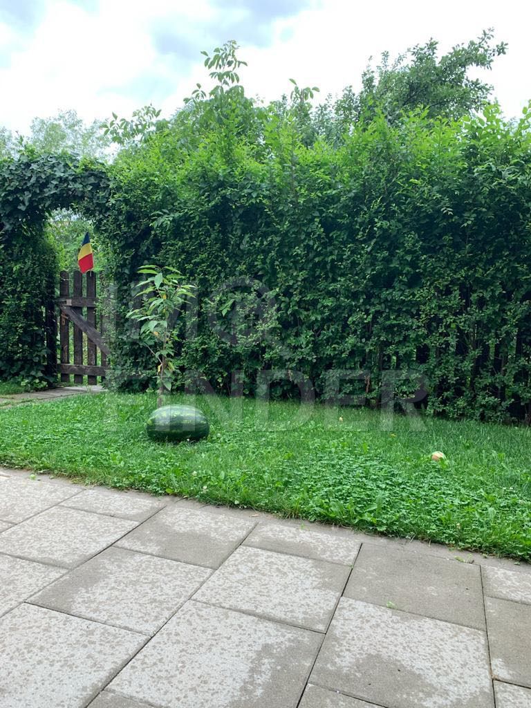 3 camere cu Gradina si Parcare exterioara zona Buna Ziua - Poză 11