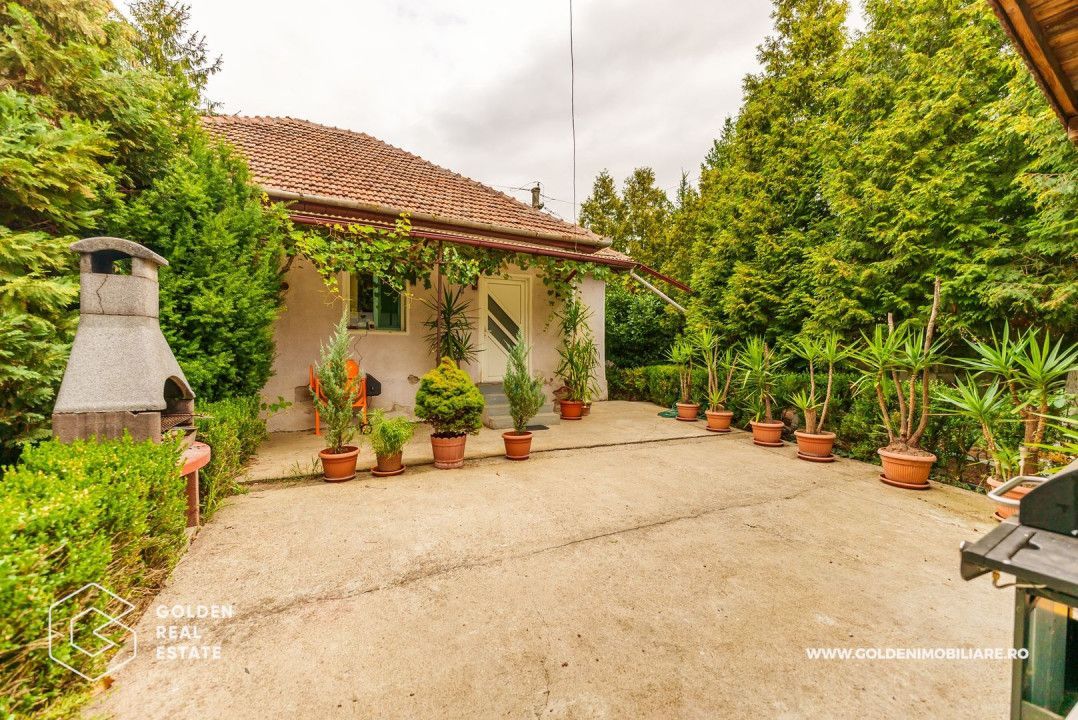 Oportunitate de investiție, vila pretabila pentru  afacere de familie - Poză 33