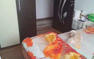 Apartament 4 camere Drumul Taberei - Poză 3