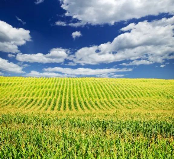 Teren 1.500 mp, intravilan, deschidere 15 ml, Ampoita, Alba Iulia - Poză 1