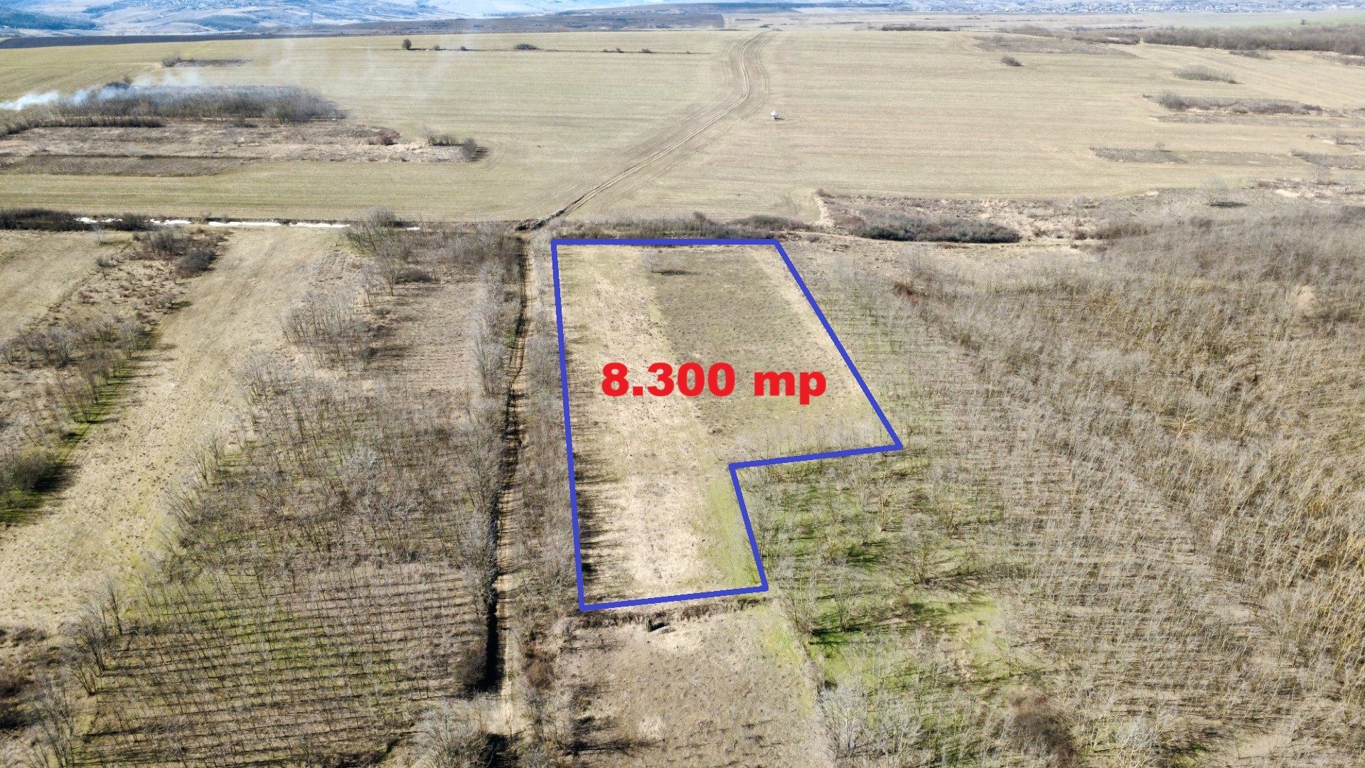 TEREN extravilan 8.300 mp, VASLUI - zona BRODOC; - Poză 3