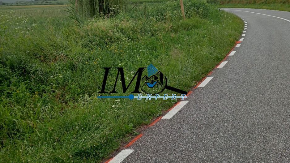 Teren extravilan Drasov - Poză 4