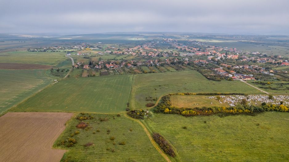 Teren de 50.000mp în Pișchia - Poză 4