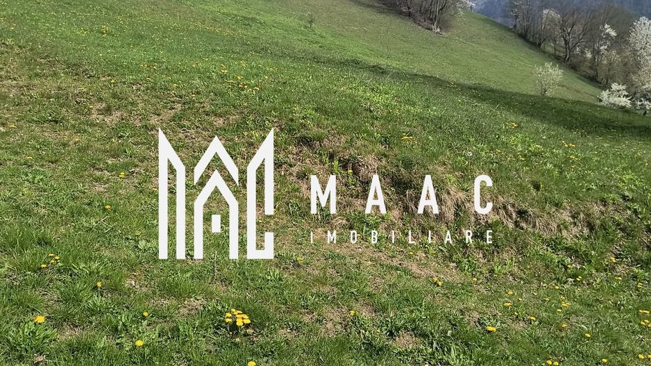 Un colt de rai in Apuseni I viața ca pe vremuri - Poză 10