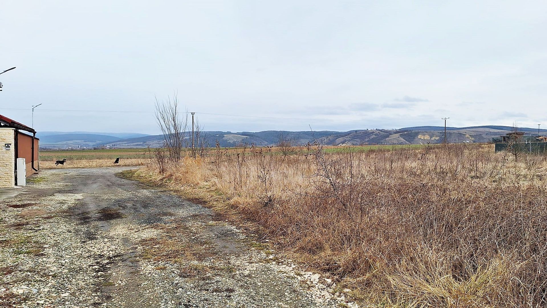 Teren Intravilan cu PUZ, intre case in Bod, 537mp, 21480 euro - Poză 6